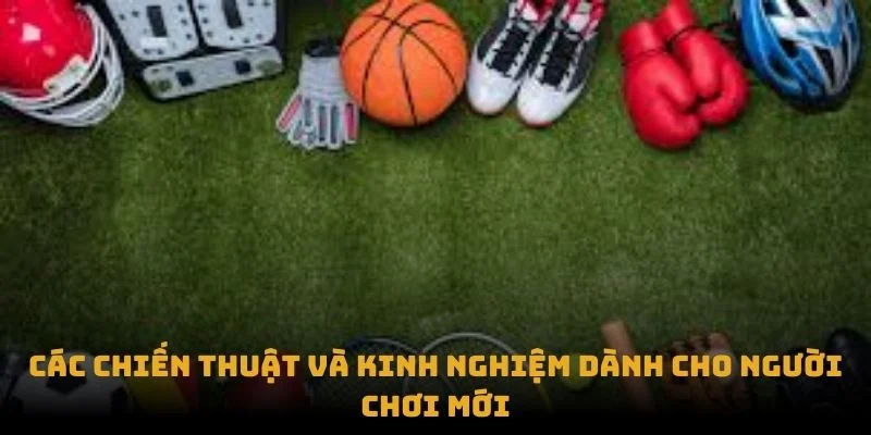 bbin-new-sports-cac-chien-thuat-va-kinh-nghiem-danh-cho-nguoi-choi-moi